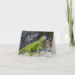 Iguana say I miss you greeting Card
