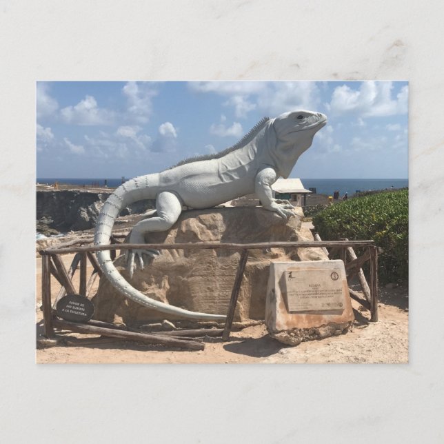 Iguana Sculpture Isla Mujeres, Mexico Postcard (Front)