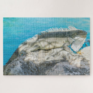 Iguana Sunbathing on Beach Rock Jigsaw Puzzle