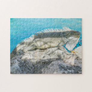 Iguana Sunbathing on Beach Rock Jigsaw Puzzle