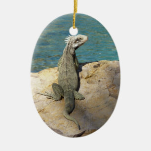 Iguana Tropical Wildlife Photography Ceramic Tree Decoration