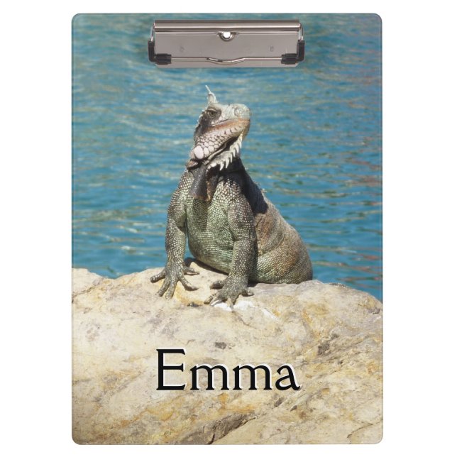 Iguana Tropical Wildlife Photography Clipboard (Front)