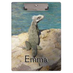 Iguana Tropical Wildlife Photography Clipboard