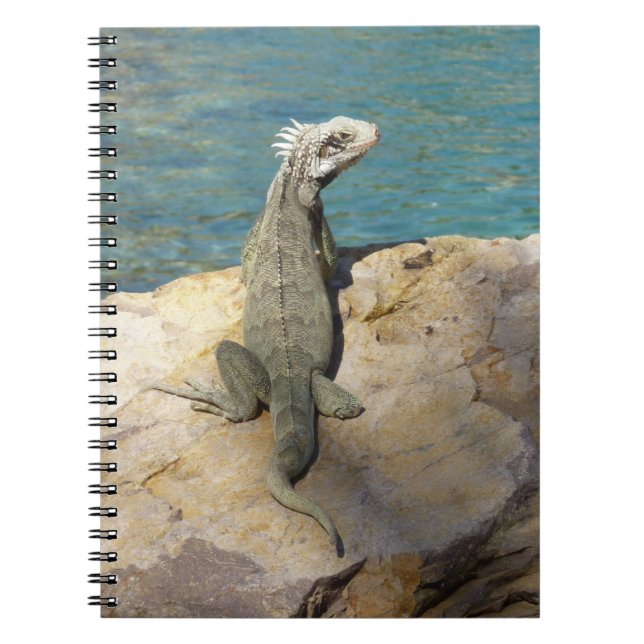 Iguana Tropical Wildlife Photography Notebook (Front)
