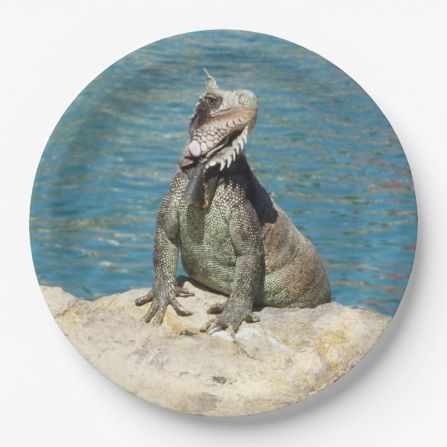 Iguana Tropical Wildlife Photography Paper Plate (Front)