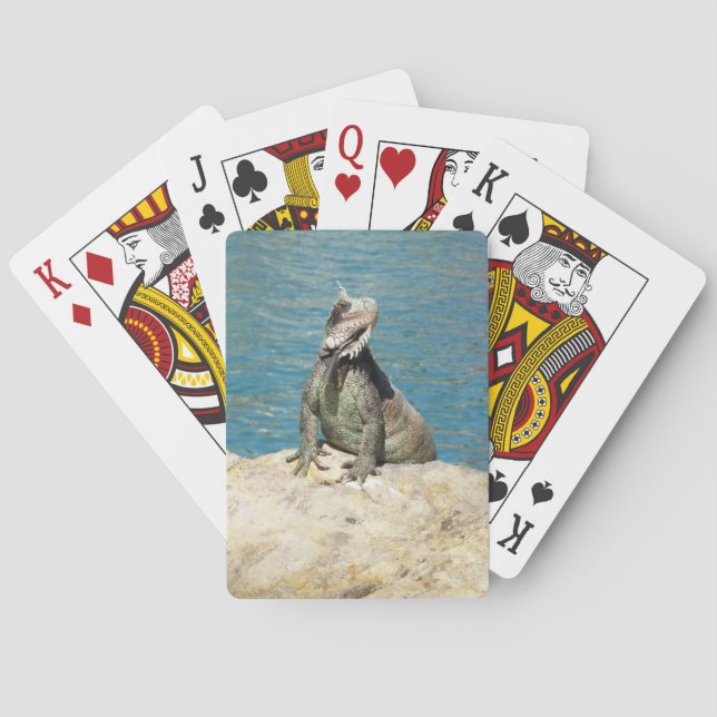 Iguana Tropical Wildlife Photography Playing Cards (Back)