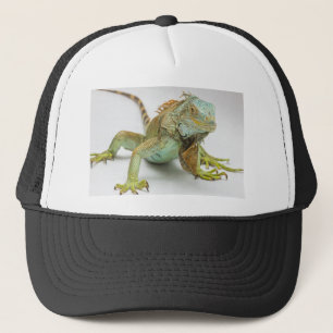 Iguana Trucker Hat