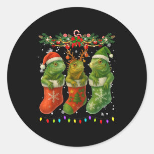 Iguanas In Christmas Socks Lights Iguanas Xmas Classic Round Sticker