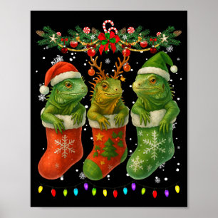 Iguanas In Christmas Socks Lights Iguanas Xmas Poster