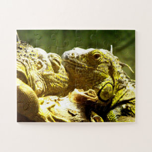 Iguanas Jigsaw Puzzle