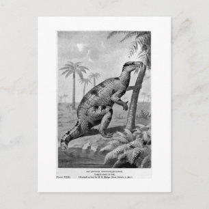 Iguanodon bernissartensis art postcard