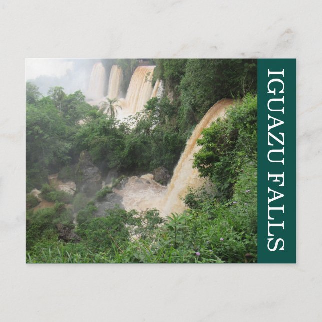 iguazu falls jungle postcard (Front)