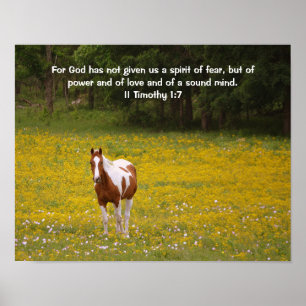II Timothy 1:7 Poster with Original Photograph