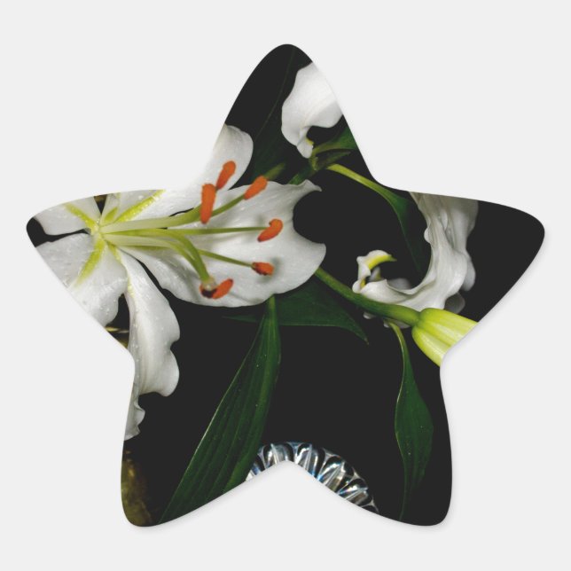 Iirsh Design -Brass and Flower Collection Star Sticker (Front)