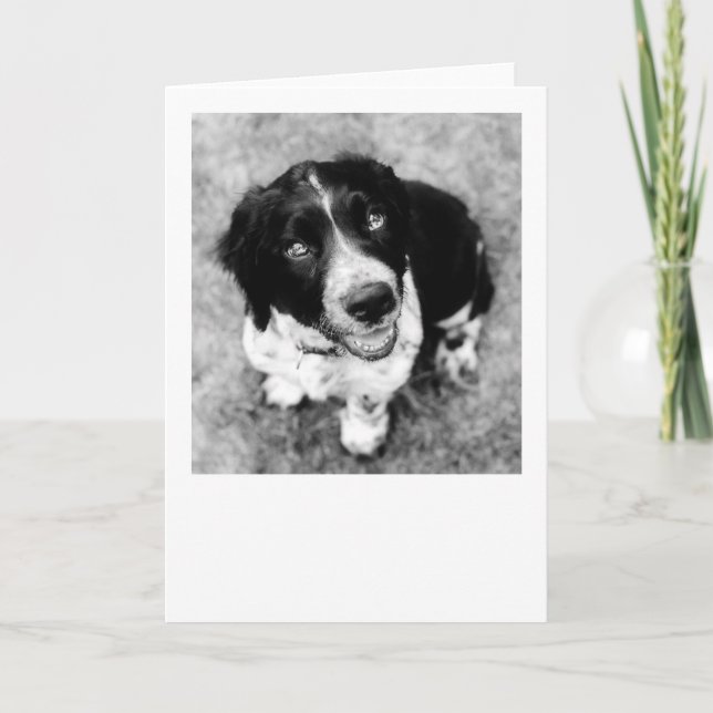 Ike Smiles Card (Front)