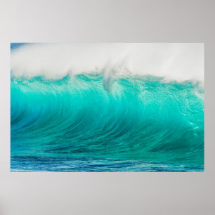 Ikea Hawaiian Wave Photograph Poster