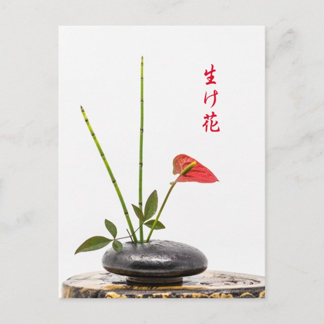 Ikebana Postcard (Front)