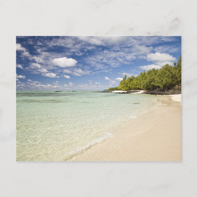 Ile Aux Cerf, most popular day trip for 2 Postcard (Front)