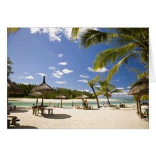Ile Aux Cerf, most popular day trip for 3