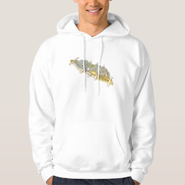 Ile-de-la-Cite. Paris France Hoodie (Front)