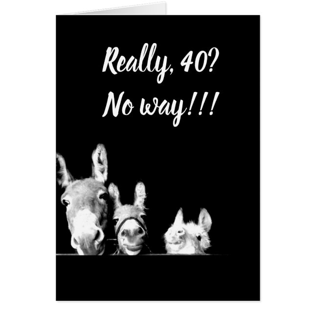 **I'LL BE A DONKEY'S UNCLE** YOU CAN'T BE *40* (Front)