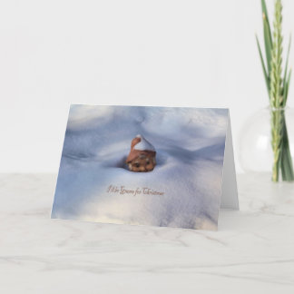 I'll be Gnome for Christmas Holiday Card