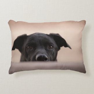 I'll Be Watching You Decorative Cushion
