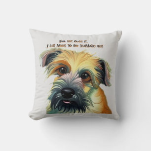 I'll get over it, I just need to be dramatic first Cushion