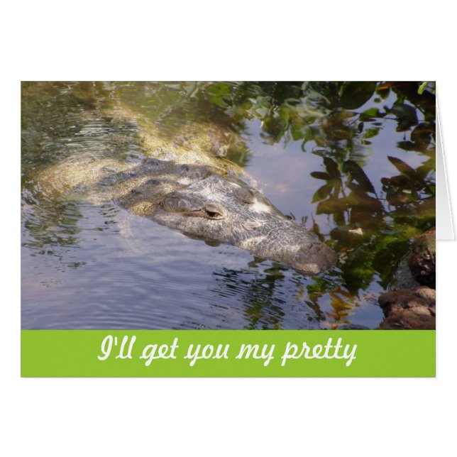 I'll get you my pretty (Front Horizontal)