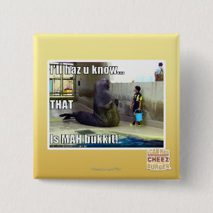 I'll haz u know 15 cm square badge