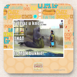 I'll haz u know coaster