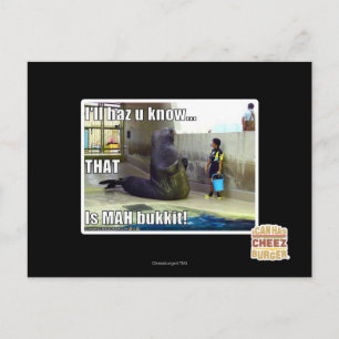I'll haz u know postcard