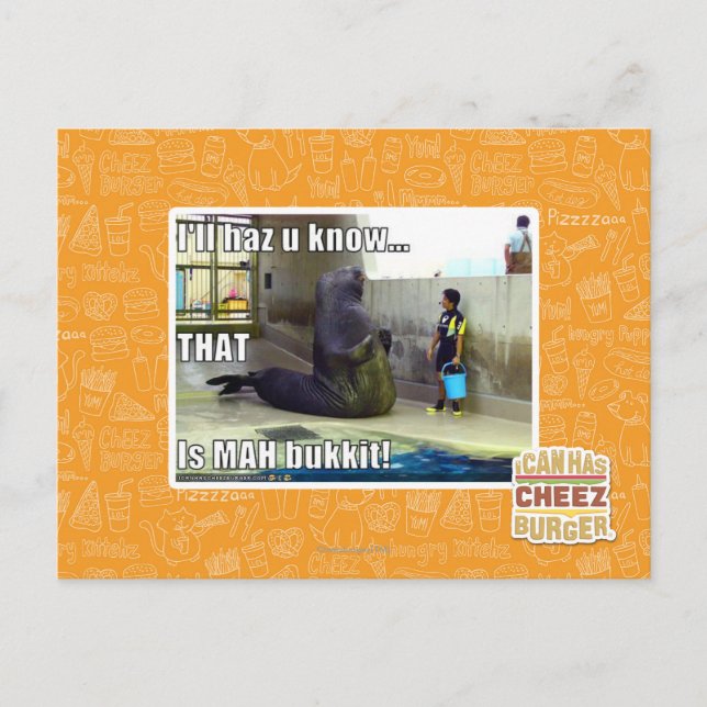 I'll haz u know postcard (Front)