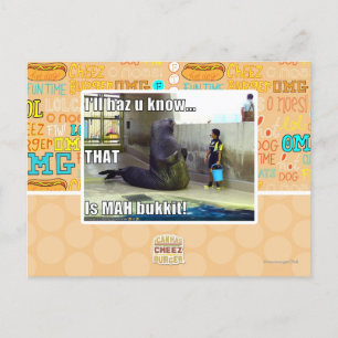 I'll haz u know postcard