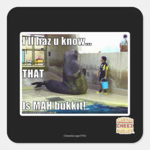 I'll haz u know square sticker