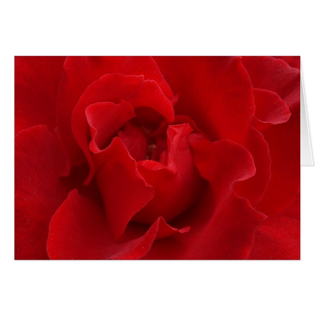 I'll Love You Always (Front Horizontal)