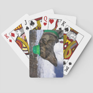 I'll Race You!" Playing Cards