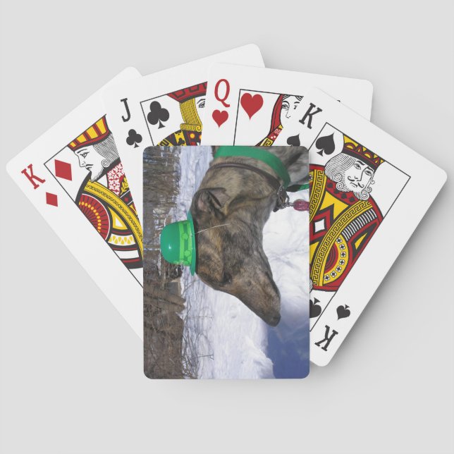 I'll Race You!" Playing Cards (Back)