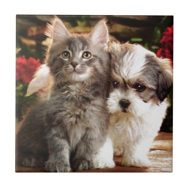 I'll Stand By You Tile (Front)