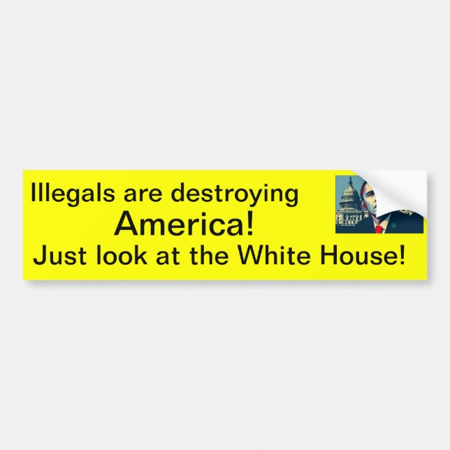 Illegals are destroying America Bumper Sticker (Front)
