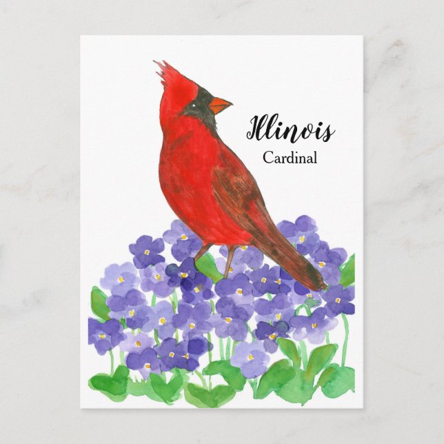 Illinois Cardinal Purple Wood Violets Postcard (Front)
