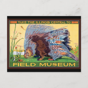 Illinois Central to Field Museum Porcupine Postcard