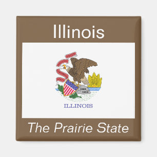 Illinois Flag Magnet