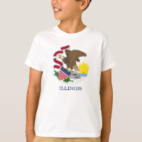 Illinois flag