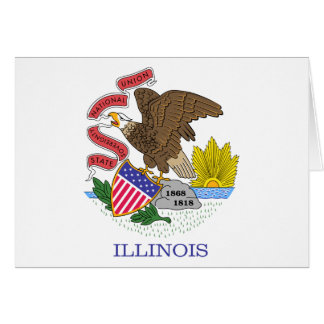 Illinois State Flag
