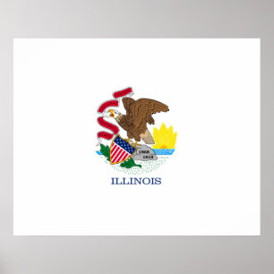Illinois State Flag Design Poster