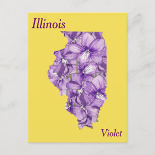 Illinois State Flower Collage Map Postcard