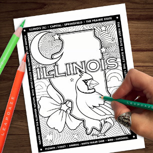 illinois state shape bird flower colouring page