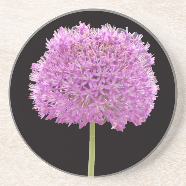Illium Summer Spring Flower -Irish Design Coaster (Front)