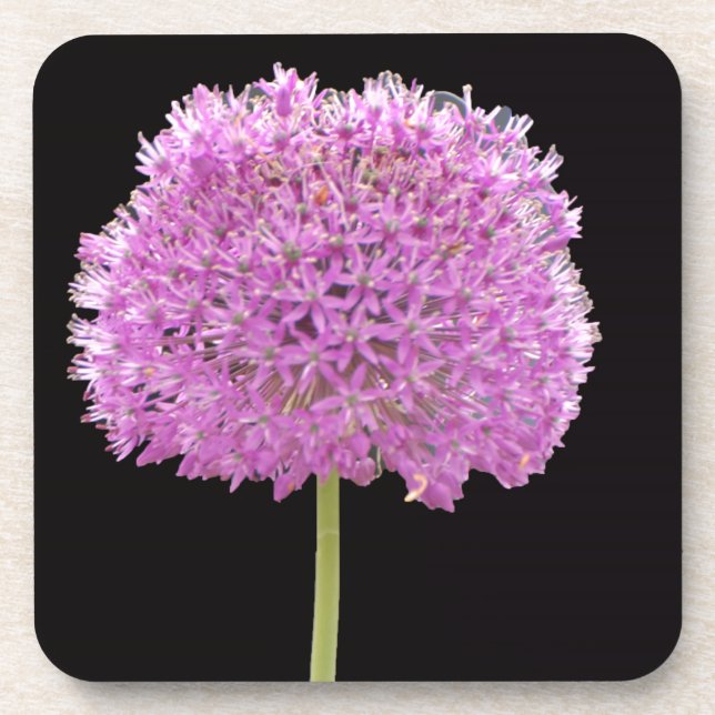 Illium Summer Spring Flower -Irish Design Coaster (Front)
